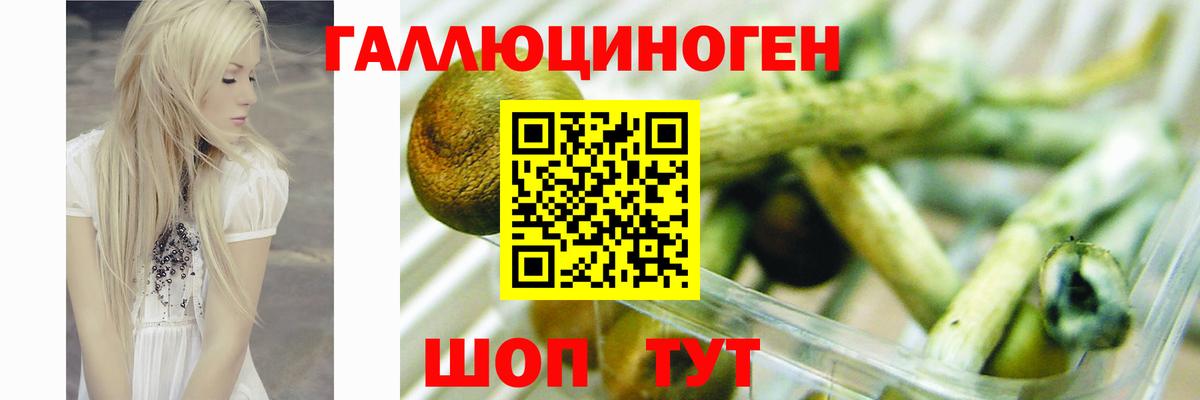 Сальск  Галлюциногенные грибы мухоморы  Псилоцибиновые грибы Magic Shrooms  Вход с VPN 